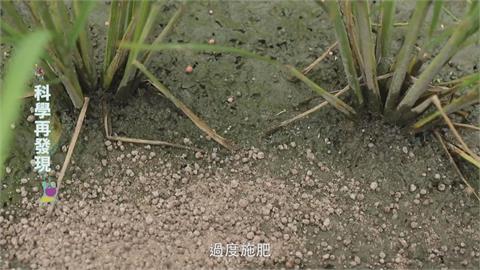 「過度施肥」反而有害作物！　「休耕輪作」可改善土壤