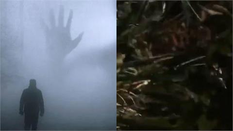 女大生闖大坑山區迷路嚇哭！詭異阿伯指路「教走東北方」警一聽發毛：你們差點掛掉