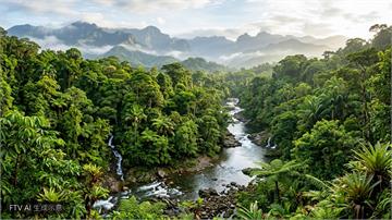 UN生物多樣性峰會　近200國達成協議重振保育目標