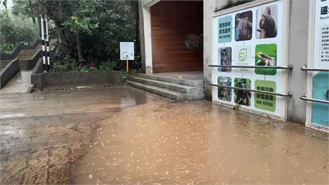 快新聞／大雨狂轟文山！北市動物園「這2館」災情慘重　重新開放時間曝
