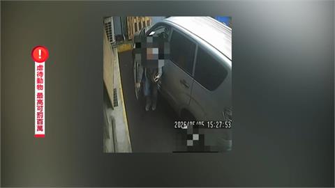 獨／冷血駕駛輾到狗不認肇事　還拉出輪下揚長而去「全都錄」