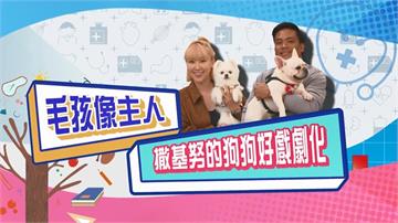 (影)／毛孩像主人 撒基努的狗狗好戲劇化？