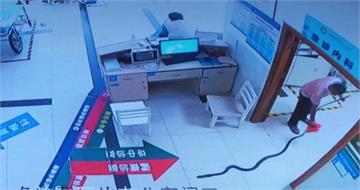 南78歲翁遭眼鏡王蛇咬傷！家屬拖2.2公尺蛇衝進醫院　12小時搶救脫險