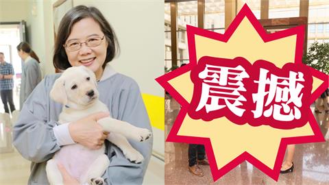 蔡英文「誤入巨人國」海拔落差太劇烈！網一看「小表情遭抓包」笑爛：不是吧