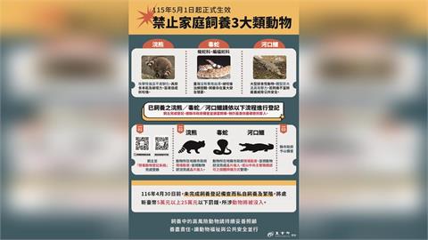 快新聞／這些常見動物都不行！「641種禁養名單」曝光　飼主最重恐遭罰25萬