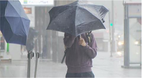 梅雨季5月報到　氣象署估雨量正常偏少
