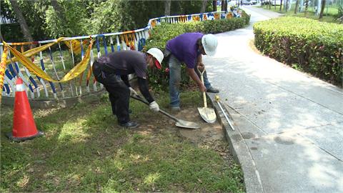 公園藏危機！疑降雨土壤流失　步道旁驚見「深坑」踩不到底