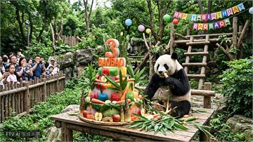 北京動物園大貓熊「萌蘭」過11歲生日！越獄明星萌翻全場