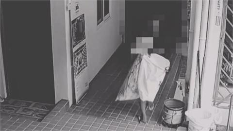 陳文龍自籌美術館遭竊　8條通賊得手多件藝術品被捕