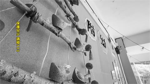 新北公幼爆不當管教！學童遲到遭罰「撐體十分鐘」　校方：鼓勵準時、訓練肌肉