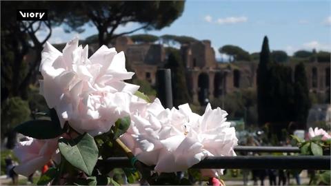 羅馬城建城2777年　特別開放栽有「1200種玫瑰」花園慶生