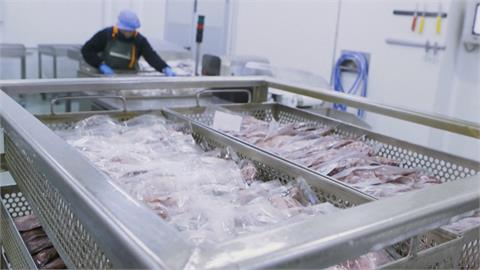 氣候變遷、美國人爆買　西班牙國菜章魚供不應求