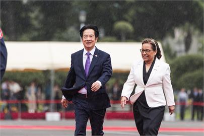 突降大雨!與賴清德濕身完成歡迎軍禮 海妮回應是好兆頭