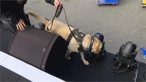 北市跨年晚會「維安升級」　進場要安檢、過金屬探測器並開包檢查