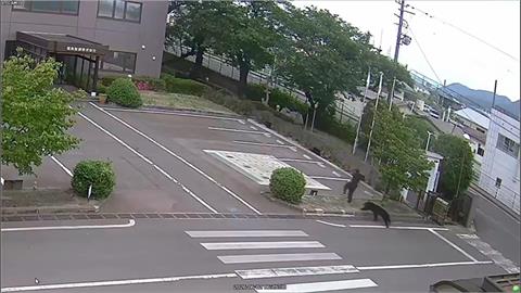 日熊害猖狂　單日連兩起遭熊攻擊事件