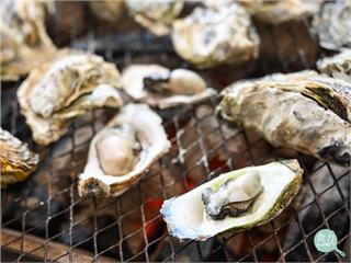從庶民小吃到城市品牌！台灣牡蠣如何在產業轉型中找到新價值？