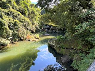 到桃園山豬湖看「鱷魚岩」　欣賞鳳蝶翩翩飛舞