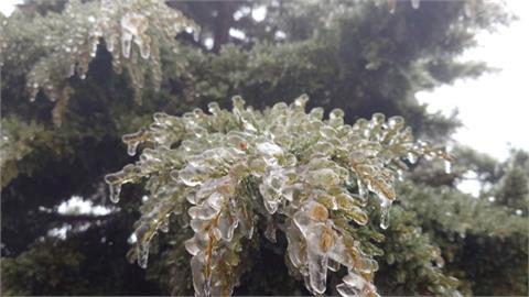 合歡山清晨降雪！　水晶宮路段積雪達10公分