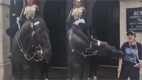 英國馬不爽了！中國人遊皇家騎兵衛隊博物館　「想合照卻遭咬傷」震撼片曝