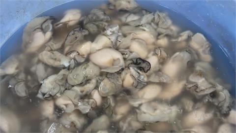 颱風重創! 東石鮮蚵產地價飆上220元 屏東麵線攤只加大腸