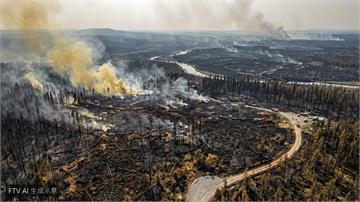 比利時爆史上最慘野火　吞噬逾2700公頃數百人急撤離