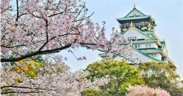 參加日本當地旅行團遇爭議！台人要對方「說中文」一票人搖頭：丟臉
