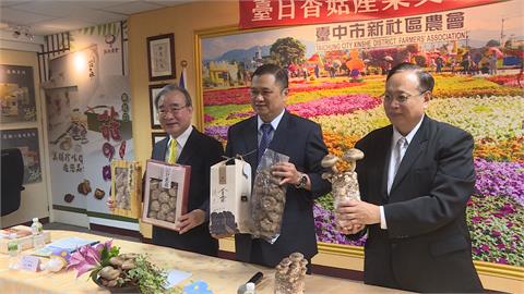 日本菌種、台灣生產！　日專家將來台研發新品種「耐熱香菇」