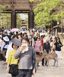 日本黃金週登場各地炎熱　東京晴空塔舉行「台灣祭」人潮擠爆