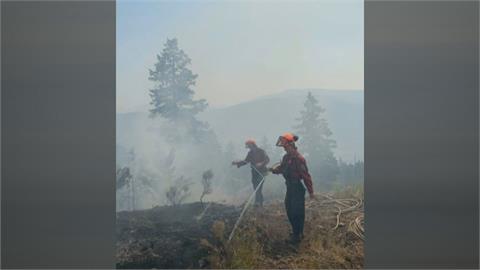 縱火？加拿大森林大火延燒　起火點近2百個