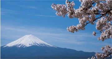 中國旅行社悄悄重啟日本旅行團　日媒揭北京默許：自行判斷