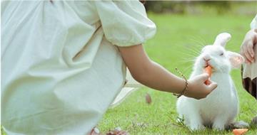 1歲男童餵寵物兔被咬斷手指 家長著急剖兔肚找斷指
