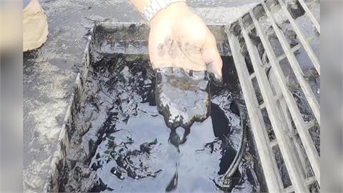 這種「芝麻糊」不能吃！　水溝冒出大量臭污泥恐致犁田
