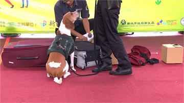928世界狂犬病日 中和四號公園毛寶貝齊聚