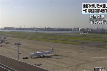 狗狗上跑道蹓躂40分 羽田機場14航班受影響