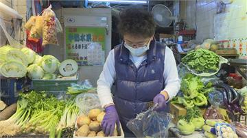 天冷蔬菜生長慢！高麗菜一顆破百 比去年同期貴4.96倍