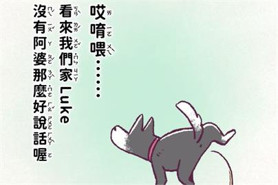 快新聞／賴清德最新動畫　憶愛犬Luke定點上廁所訓練過程