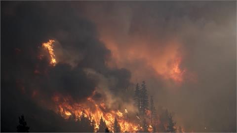 美西出現40年來歷史性乾旱　加州野火燒掉3個台北市
