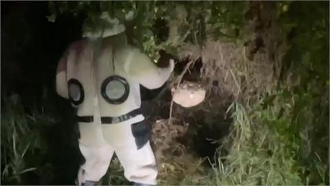 選舉看板後方驚見籃球大虎頭蜂窩　憂心安全連夜摘除