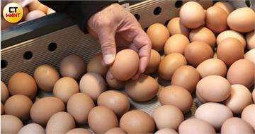15萬顆毒雞蛋流竄！市場婆媽怕爆問「散裝蛋怎麼分辨？」　菜販出面解答了