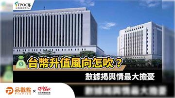 台幣升值風向怎吹？數據揭輿情最大擔憂