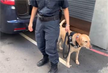 新北警犬出擊助掃毒　逮70餘人起獲大麻1350公克
