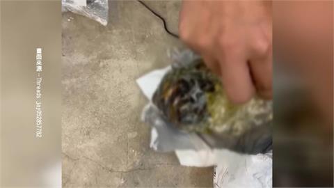 退貨包裹驚見不明物體　飄惡臭疑為「黑木耳廚餘」