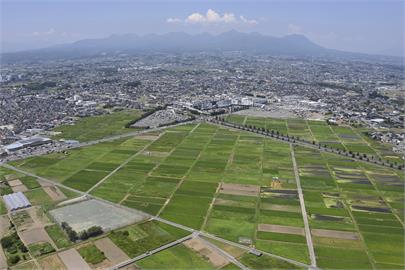 日本今夏高溫破紀錄　稻米品質變差收購價大跌