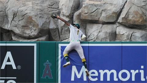 MLB(影)/年度最佳接殺!運動家外野手翻牆沒收全壘打、大聯盟驚:蜘蛛人現身