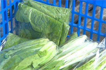 農夫市集周年慶  1元有機蔬菜搶翻天