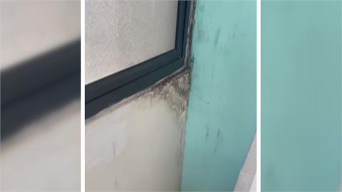 獨／房仲傳影片套房乾淨明亮　民眾控實際簽約變垃圾壁癌屋