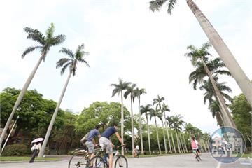 MIT又奪冠！台大進步5名　英國世界大學最新排名公布了「台灣前十大曝光」