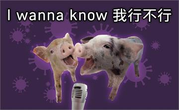 夜線／「小豬有病不行」！改編羅志祥名曲 海巡署防疫宣導超酸