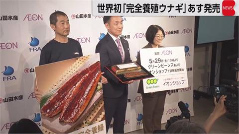 全球商業化首例！「完全養殖」鰻魚開賣　高市早苗搶先試吃