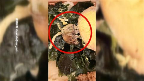 屏東民眾便當吃一半驚見"檳榔蒂" 上網怒刷一星負評